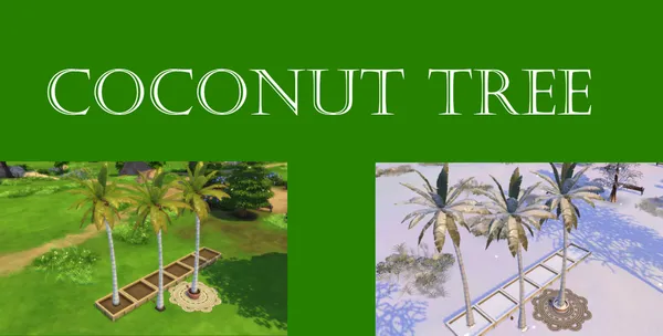 Coconut Harvestable